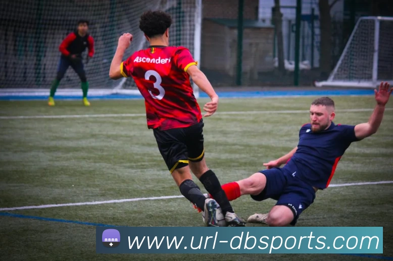 DB体育发展历程